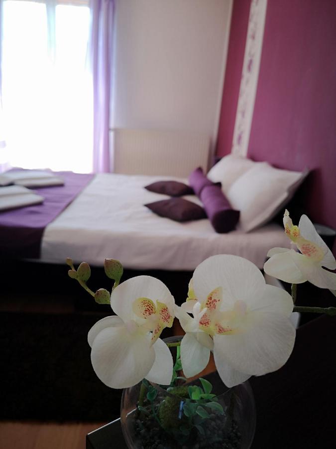 Casa Mais Brasov Ngoại thất bức ảnh