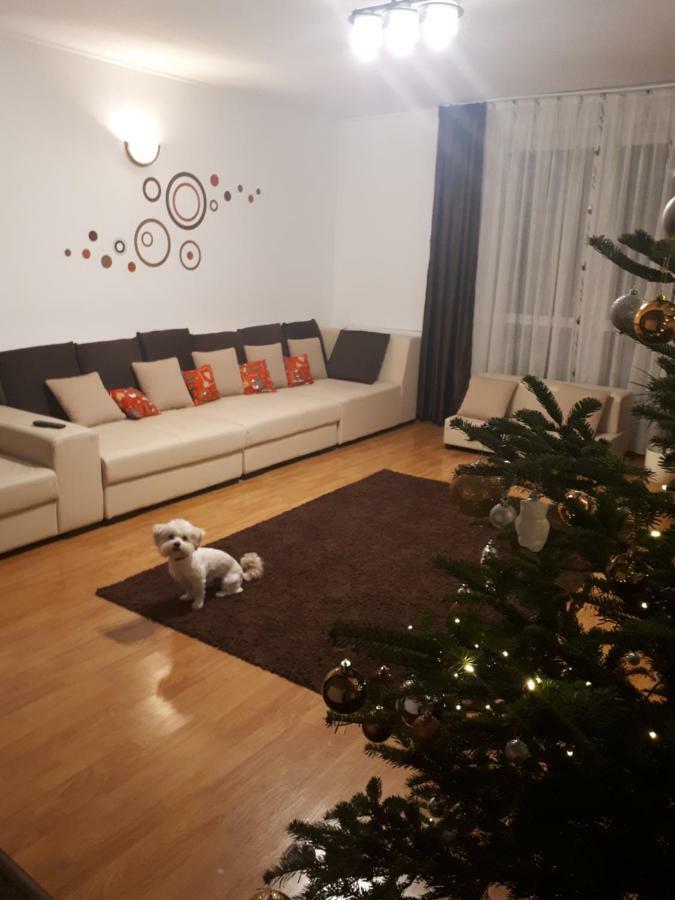 Casa Mais Brasov Ngoại thất bức ảnh