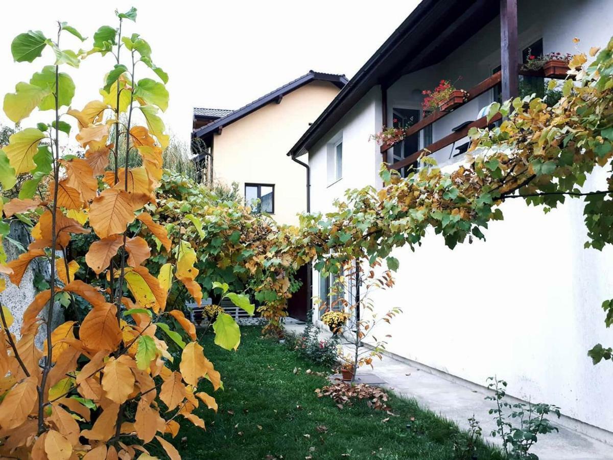Casa Mais Brasov Ngoại thất bức ảnh